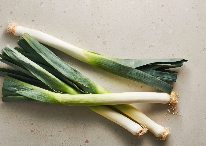 can-cats-eat-leeks-1